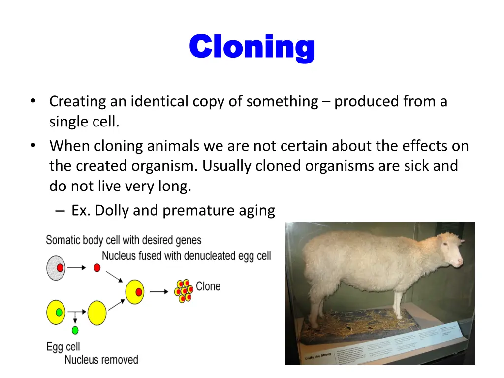 cloning cloning