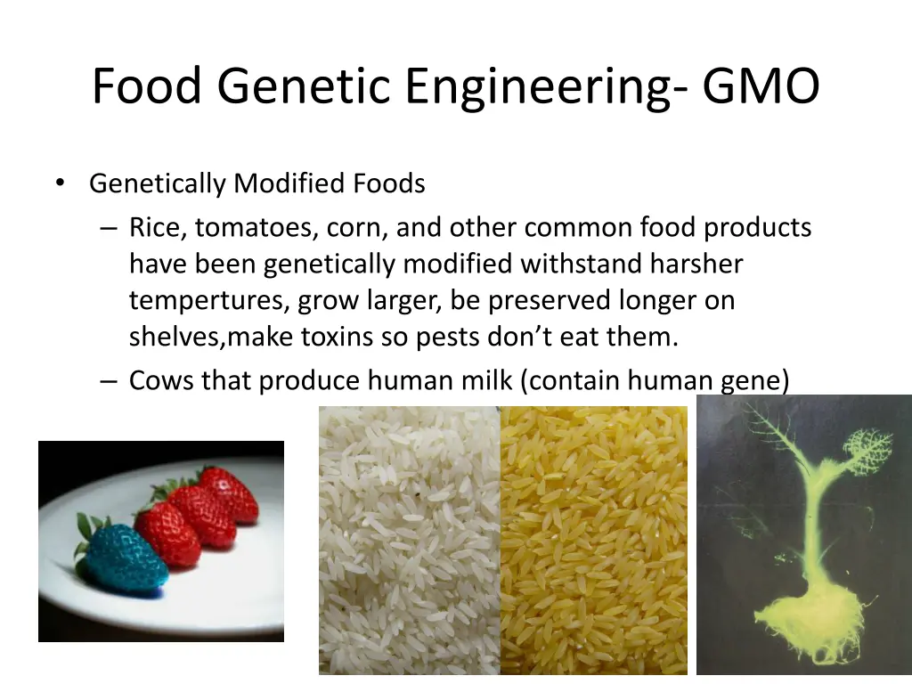 food genetic engineering gmo