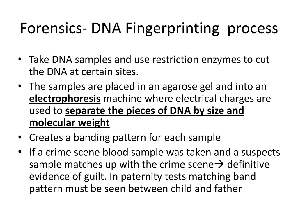 forensics dna fingerprinting process