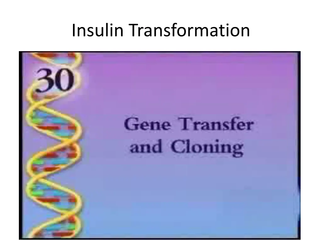 insulin transformation