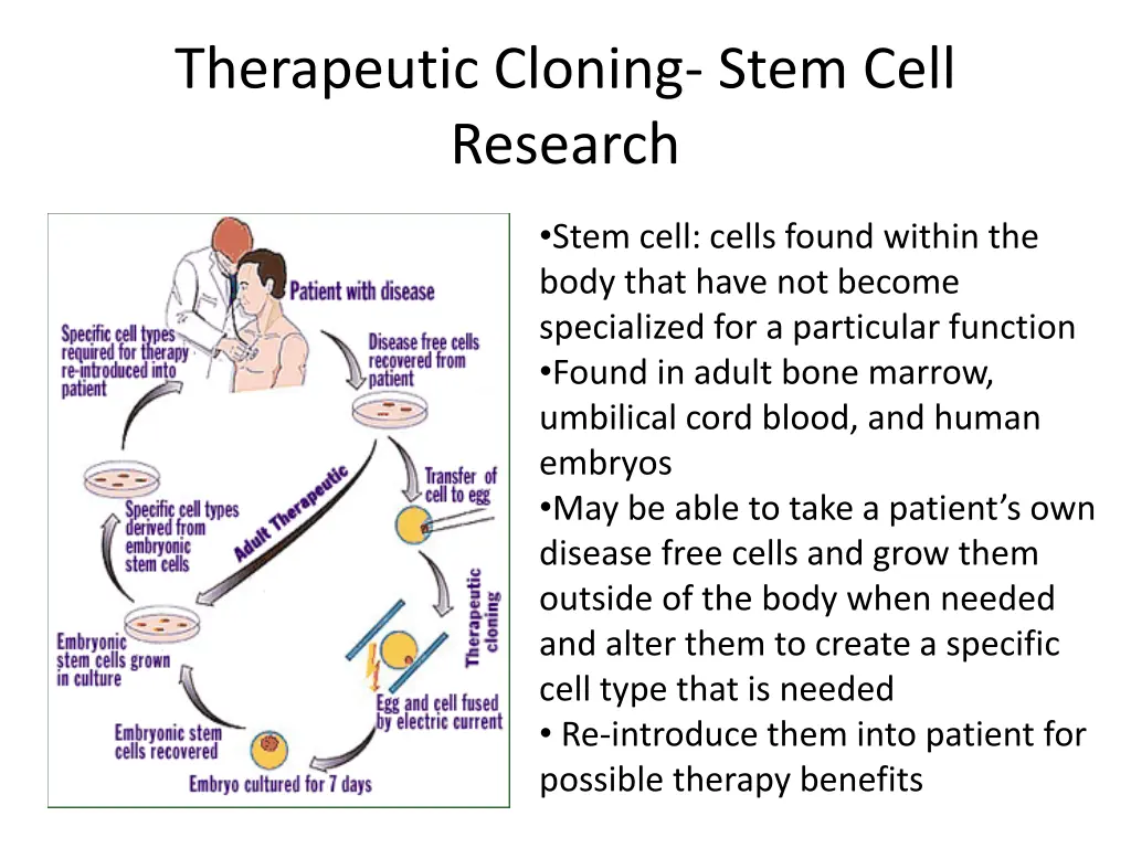 therapeutic cloning stem cell research