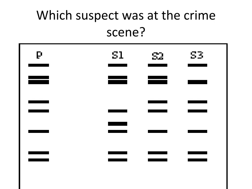 which suspect was at the crime scene