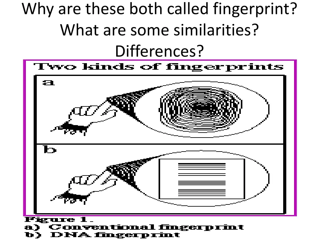 why are these both called fingerprint what