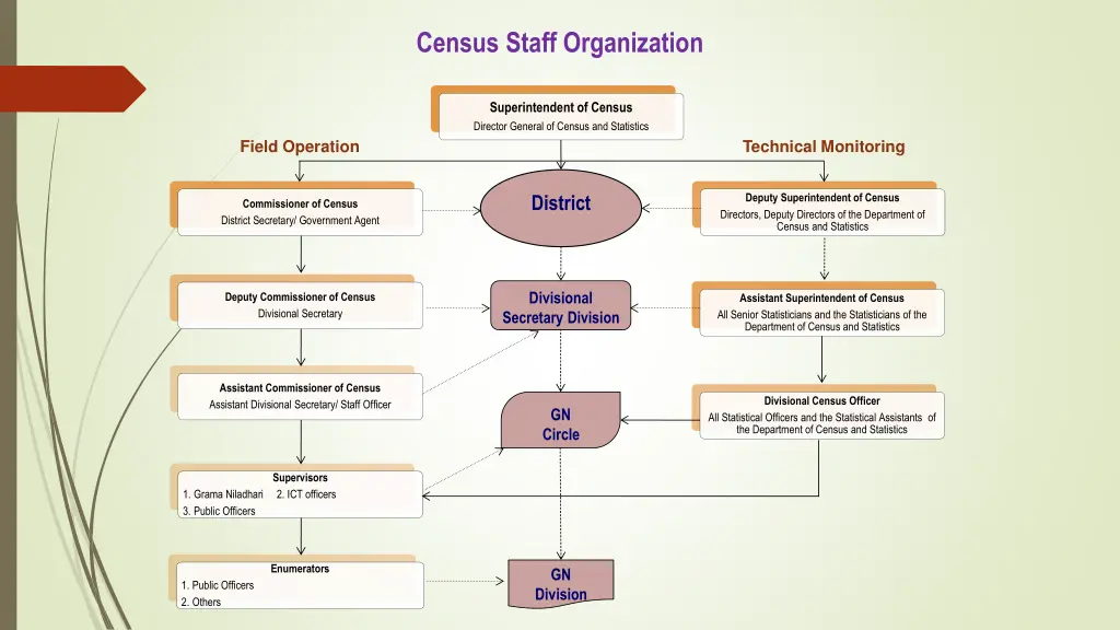 census staff organization