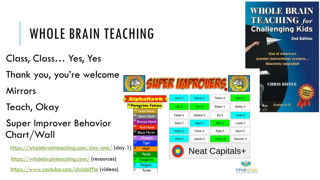 whole brain teaching