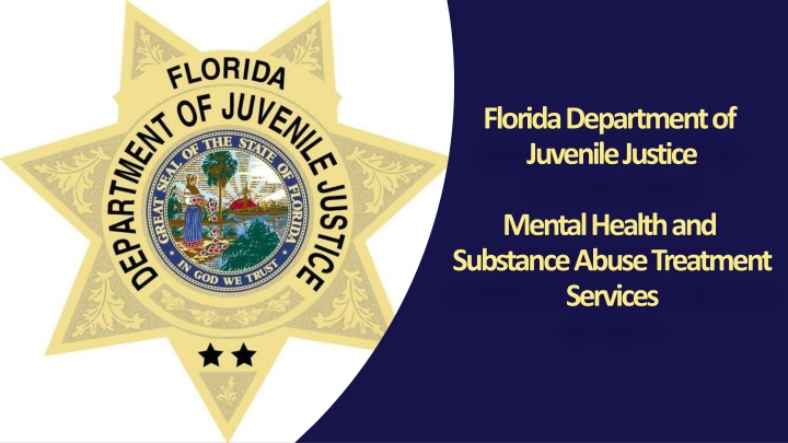 florida department of juvenile justice