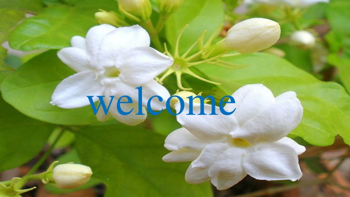 welcome