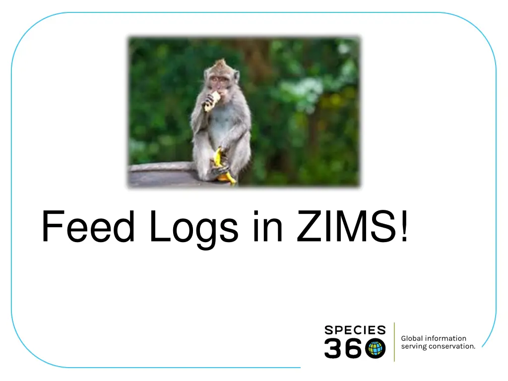 feed logs in zims