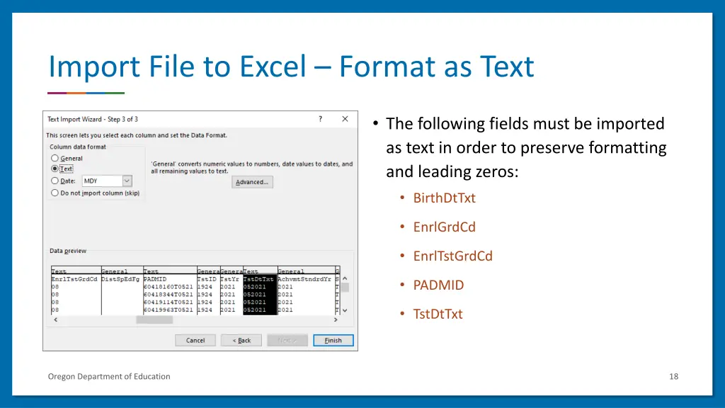 import file to excel format as text