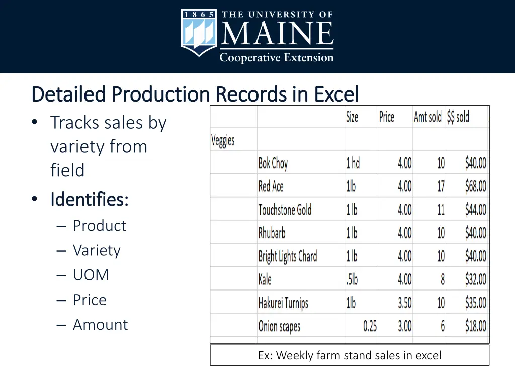 detailed production records in excel detailed