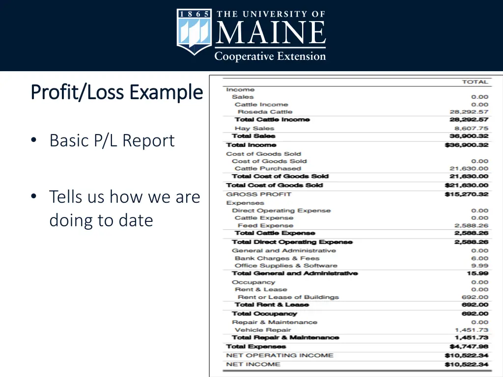 profit loss example profit loss example