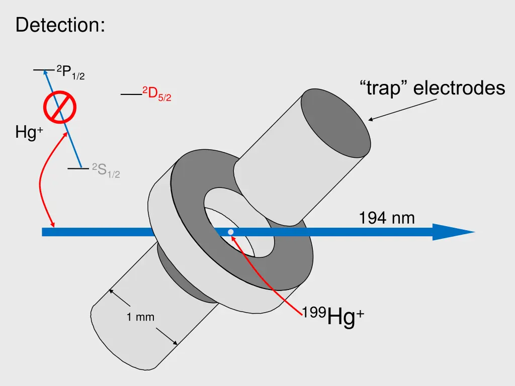 detection 1