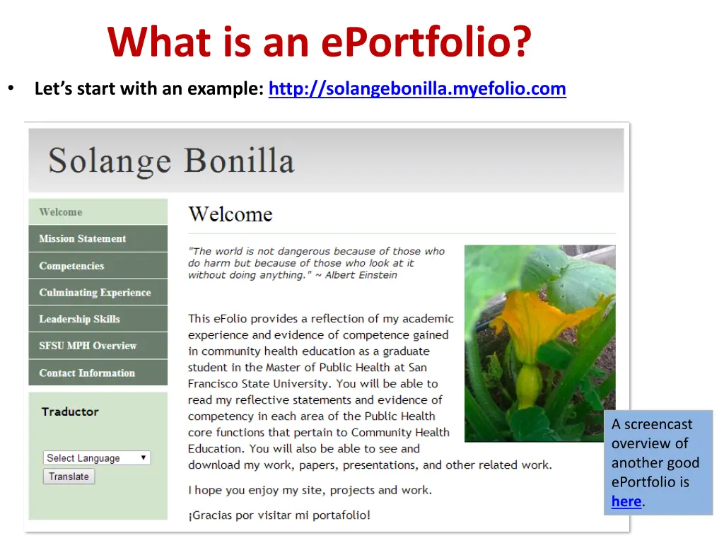 what is an eportfolio