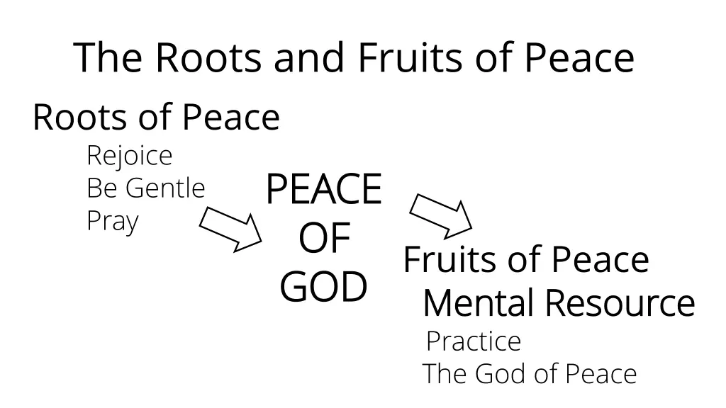 the roots and fruits of peace roots of peace 5