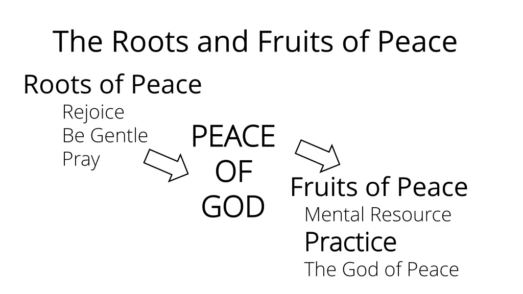 the roots and fruits of peace roots of peace 6