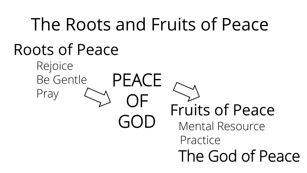 the roots and fruits of peace roots of peace 7