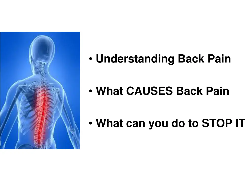 understanding back pain