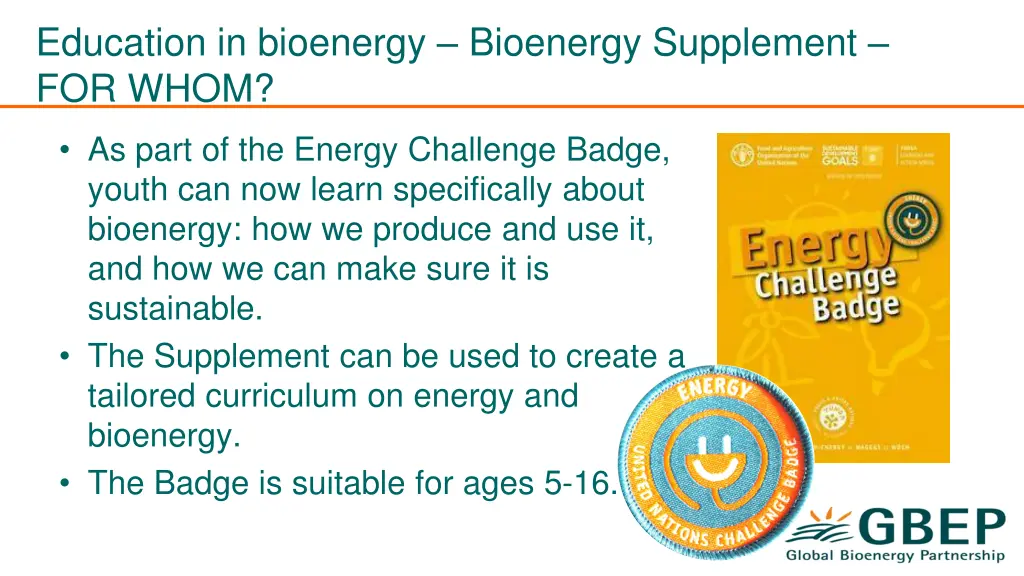 education in bioenergy bioenergy supplement