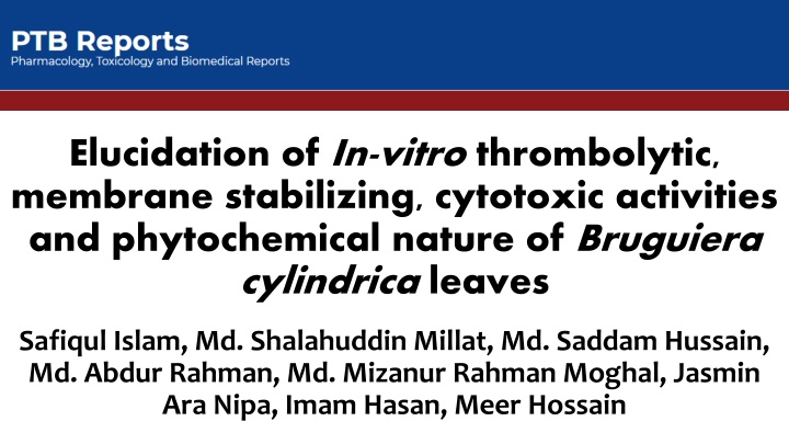 elucidation of in vitro thrombolytic membrane