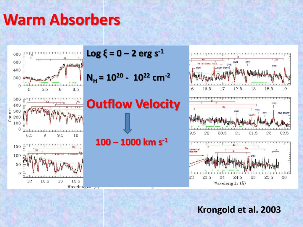 warm absorbers