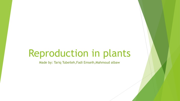 reproduction in plants made by tariq tubeileh