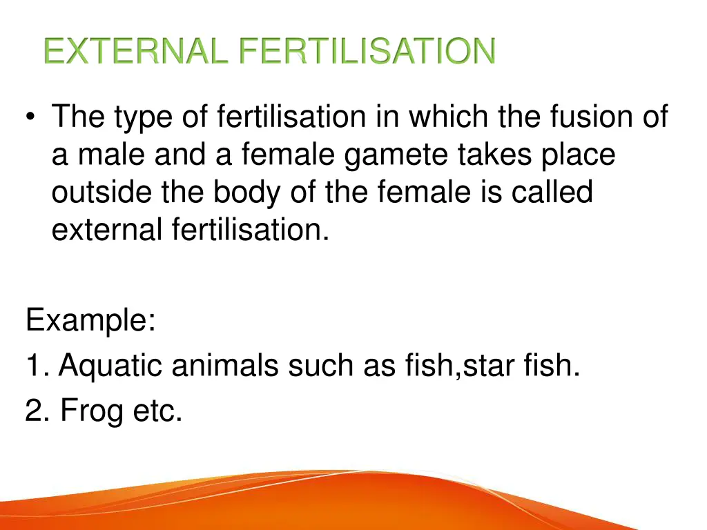 external fertilisation