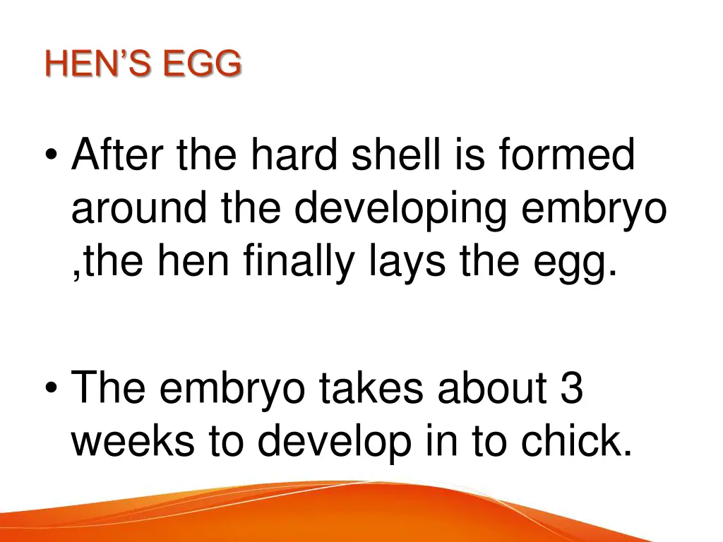 hen s egg