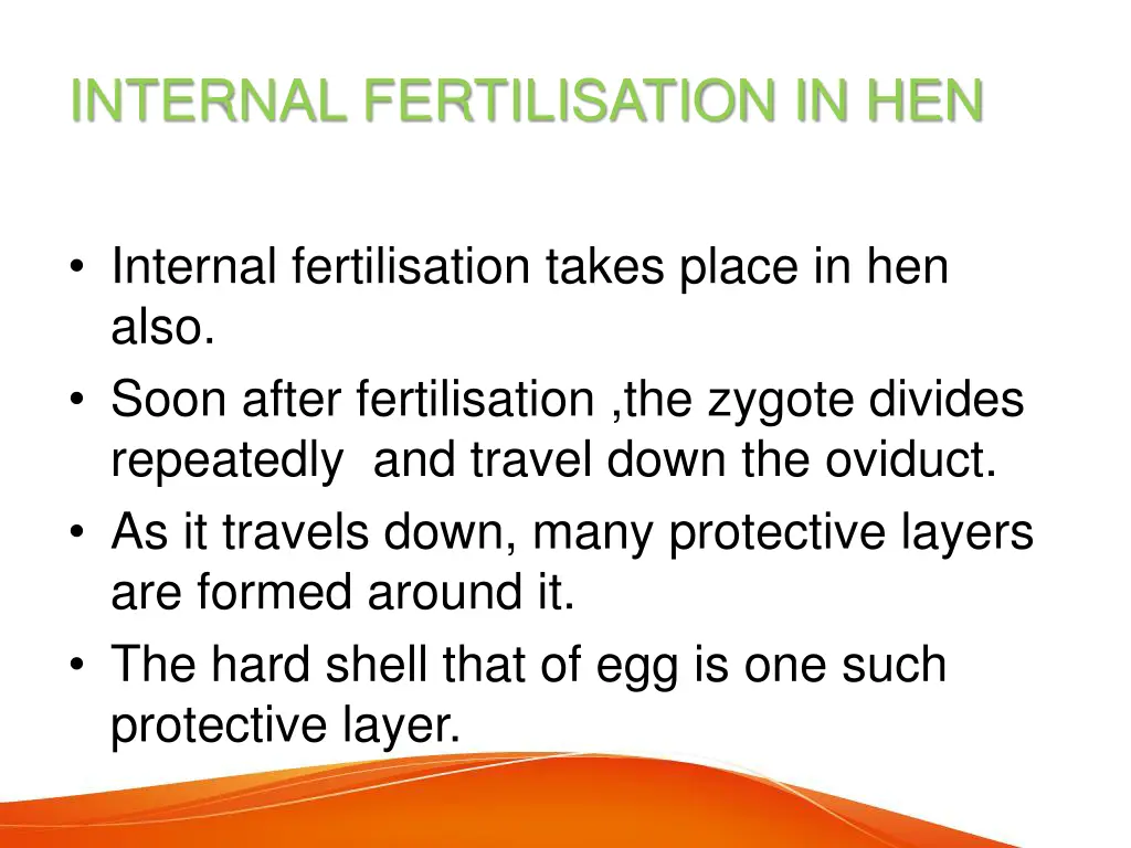 internal fertilisation in hen