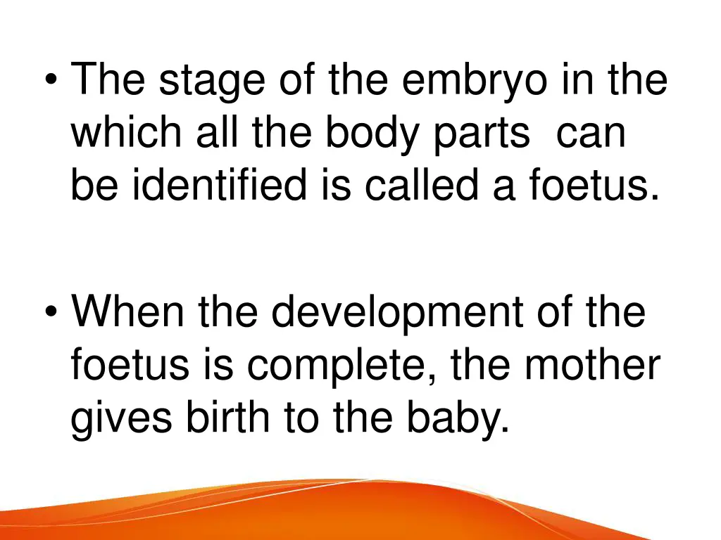 the stage of the embryo in the which all the body