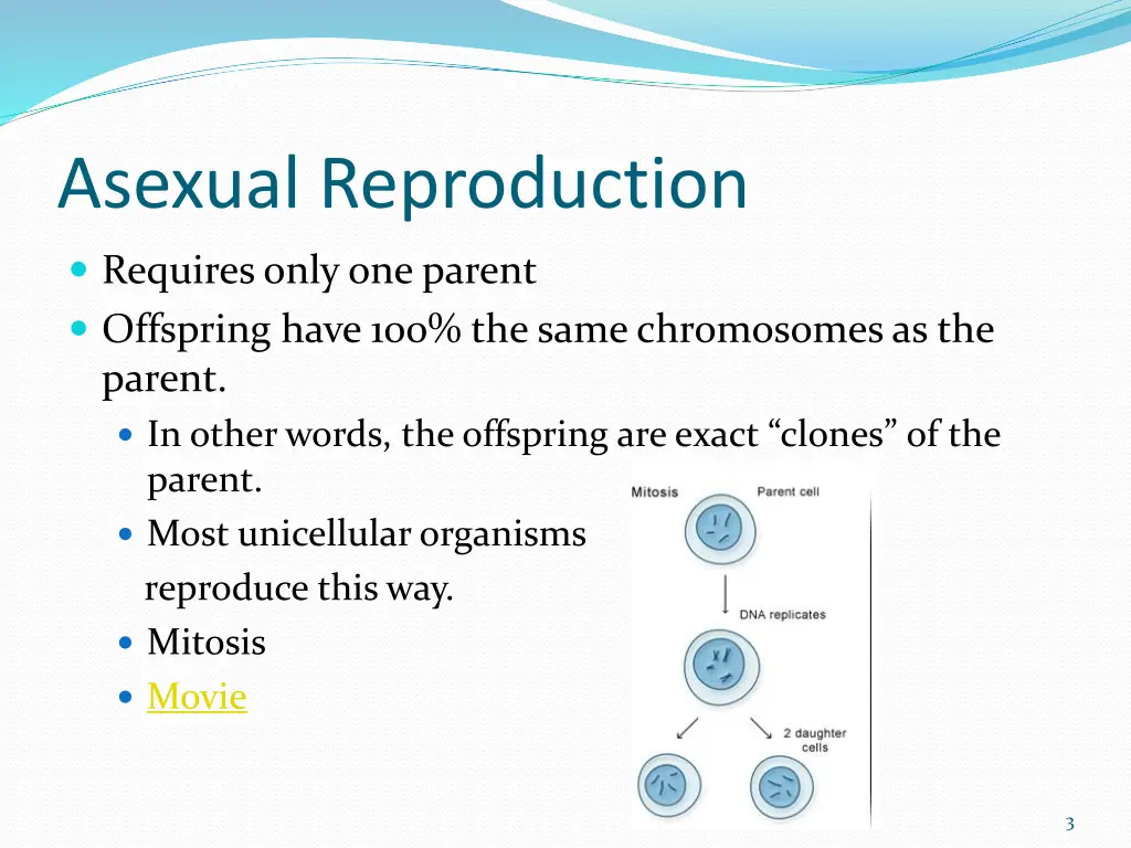 asexual reproduction