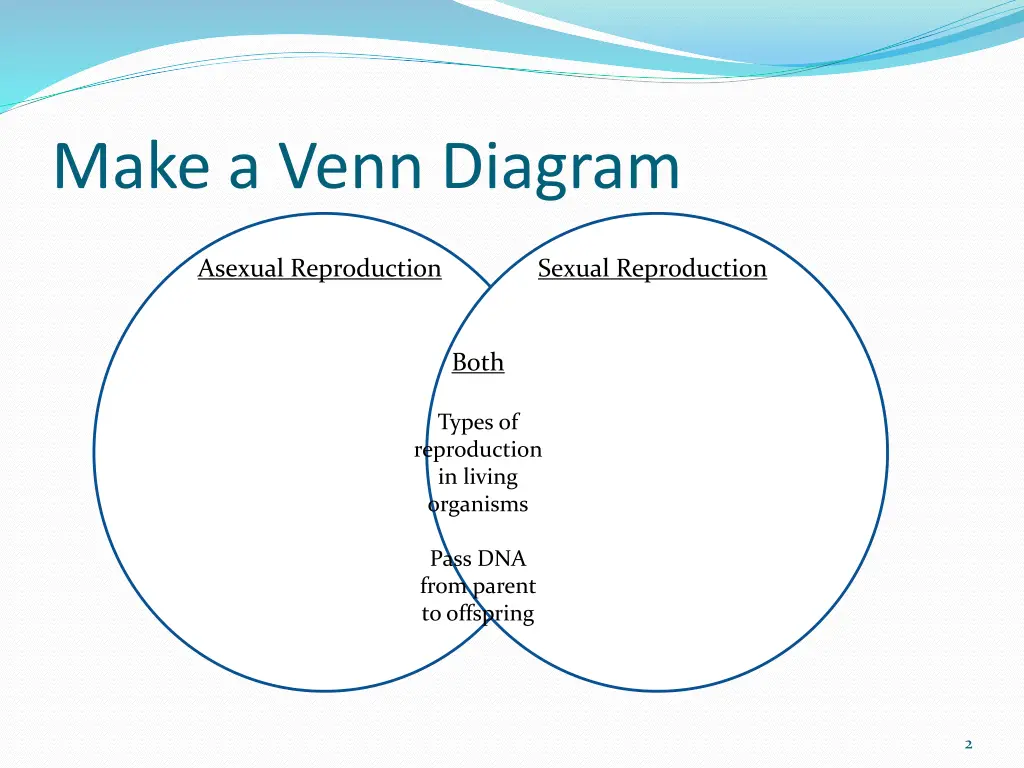 make a venn diagram