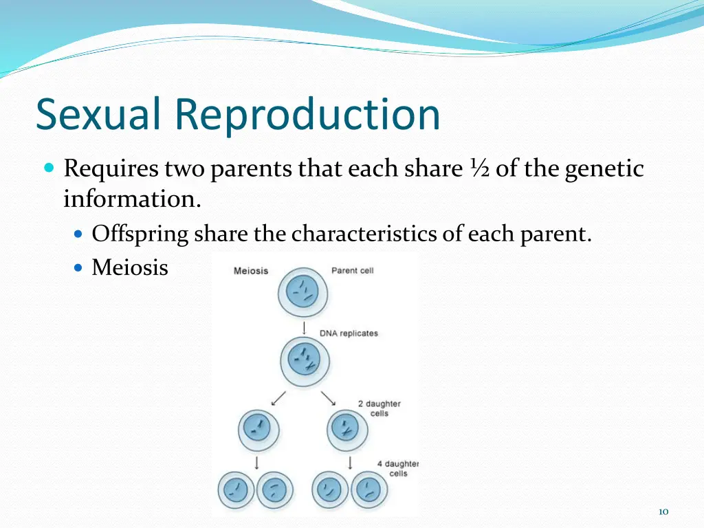 sexual reproduction