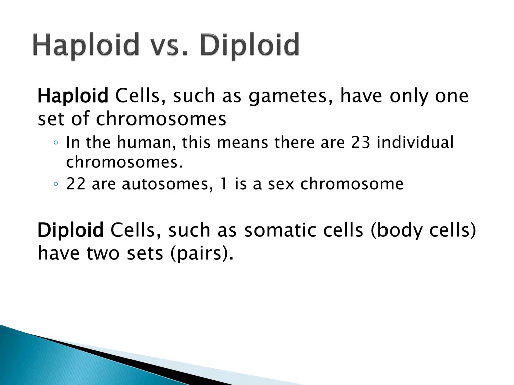 haploid set of chromosomes in the human this