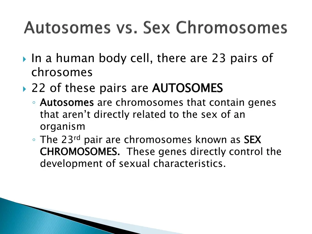 in a human body cell there are 23 pairs