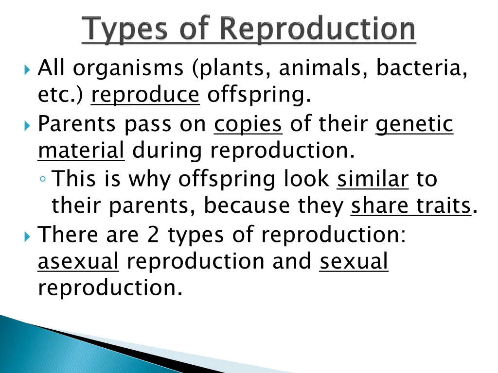 all organisms plants animals bacteria