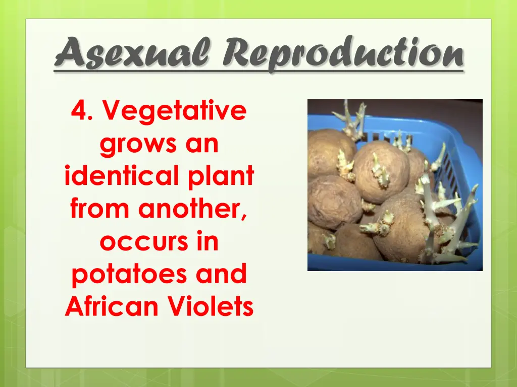 asexual reproduction 5