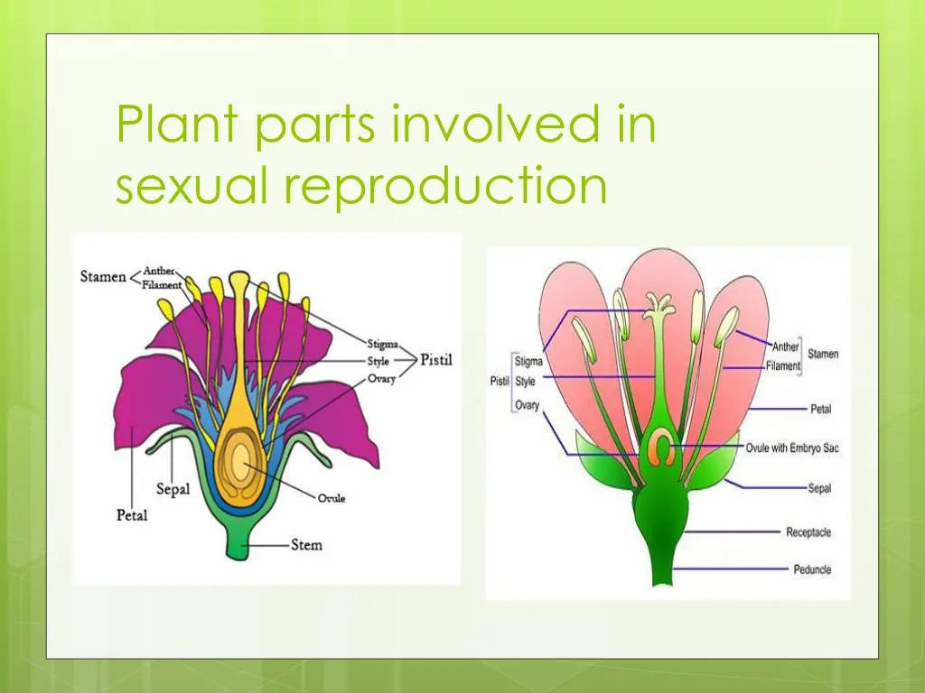 plant parts involved in sexual reproduction