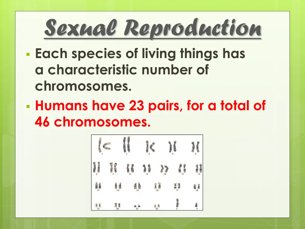 sexual reproduction 2