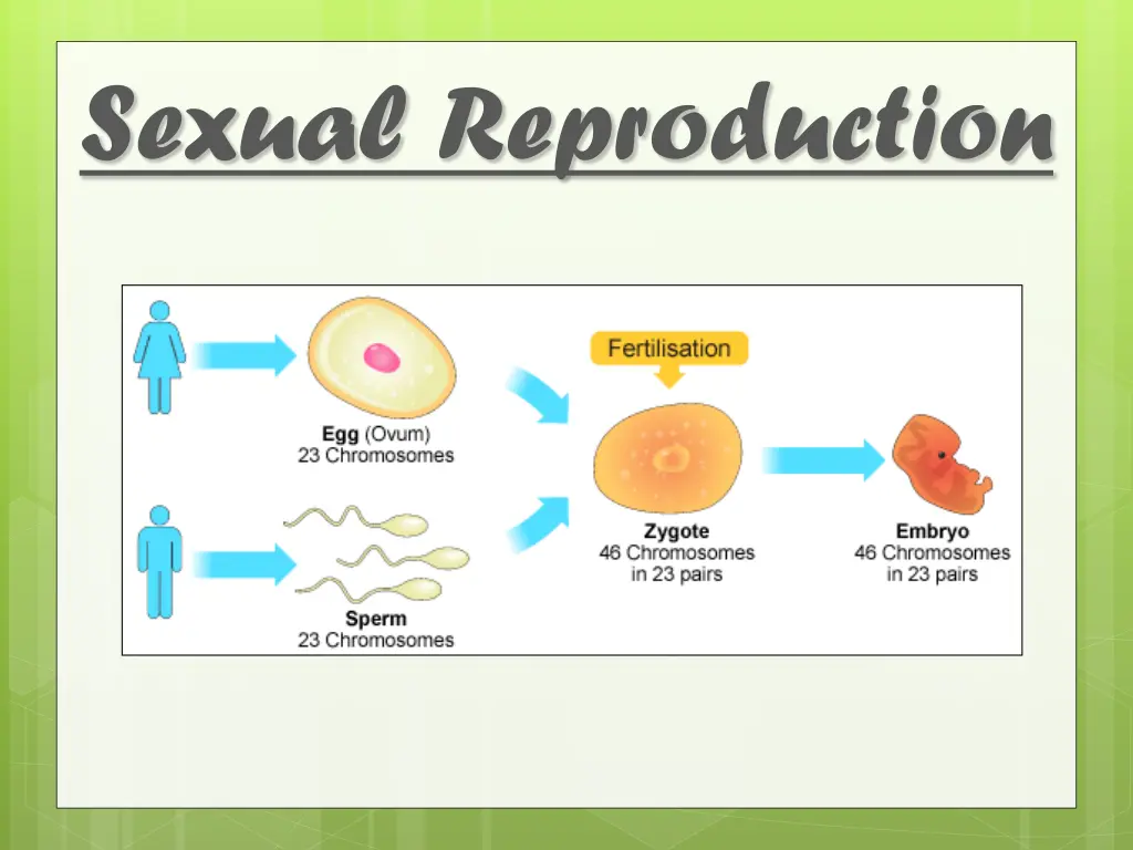 sexual reproduction 6