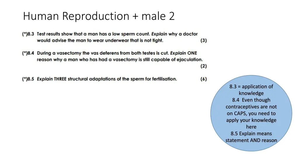 human reproduction male 2