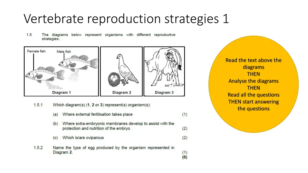 vertebrate reproduction strategies 1