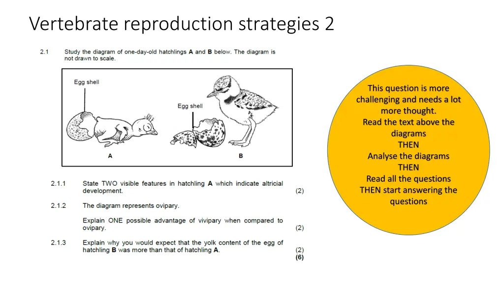 vertebrate reproduction strategies 2