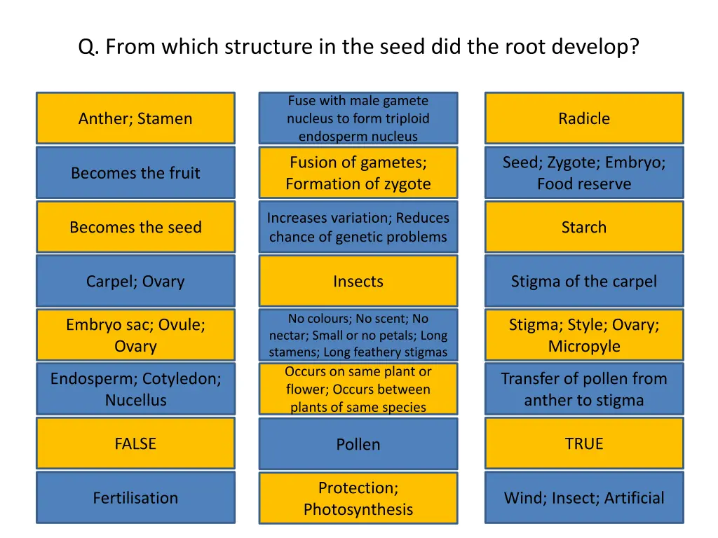 q from which structure in the seed did the root