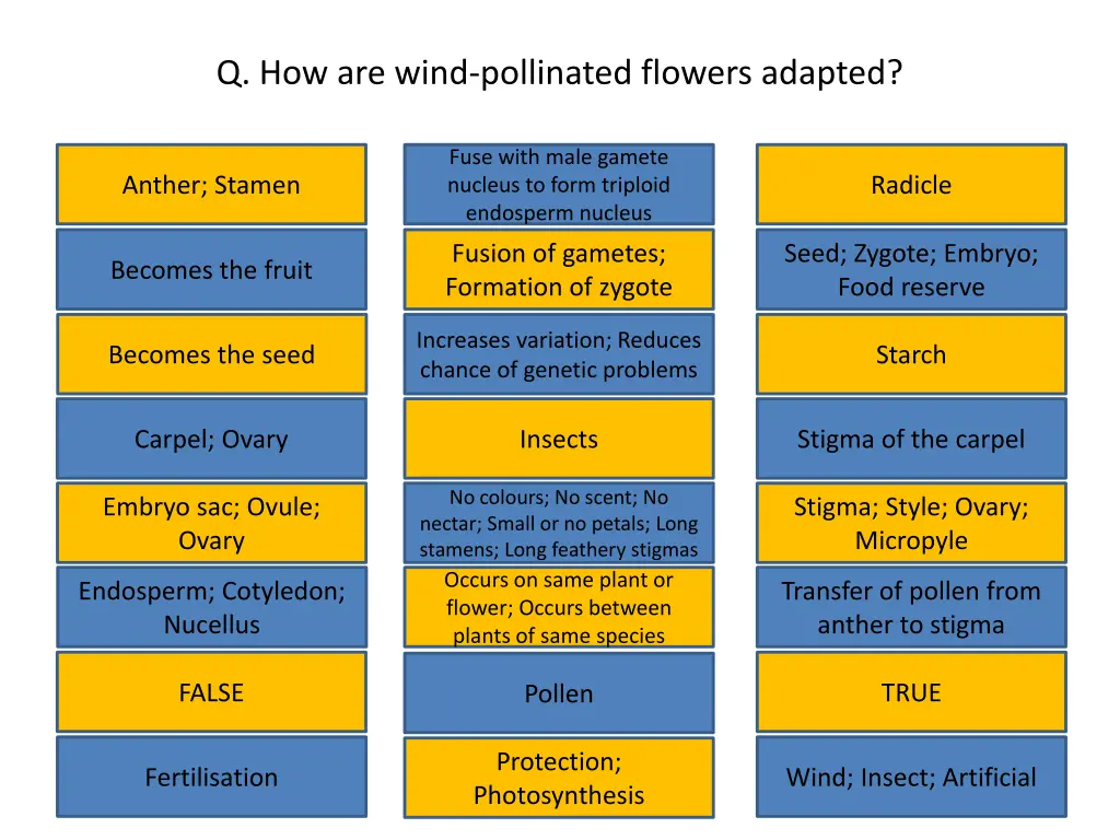 q how are wind pollinated flowers adapted