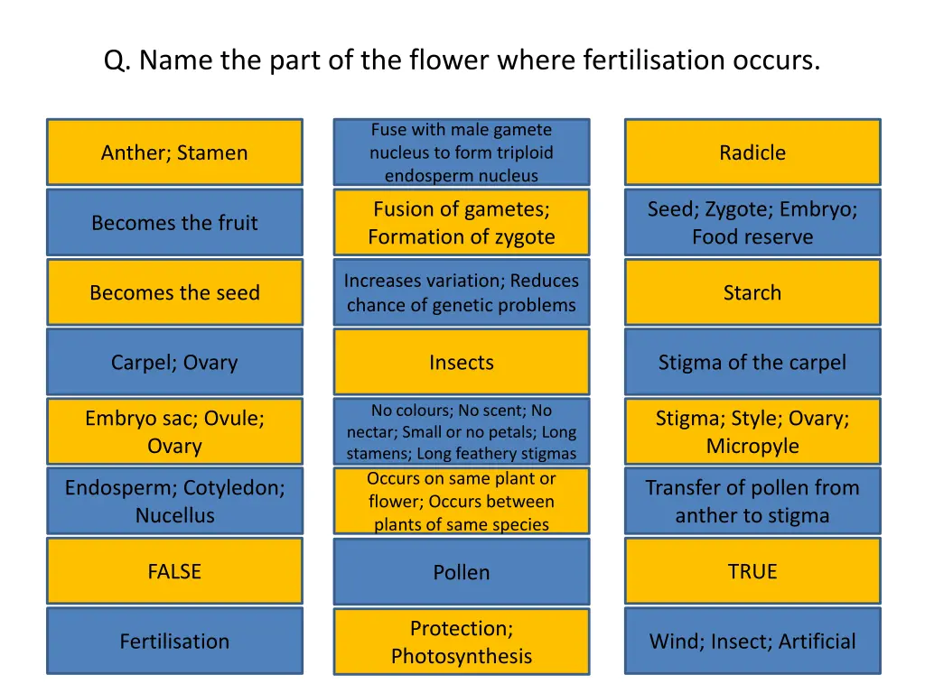 q name the part of the flower where fertilisation