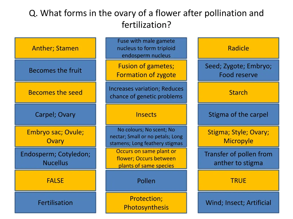 q what forms in the ovary of a flower after