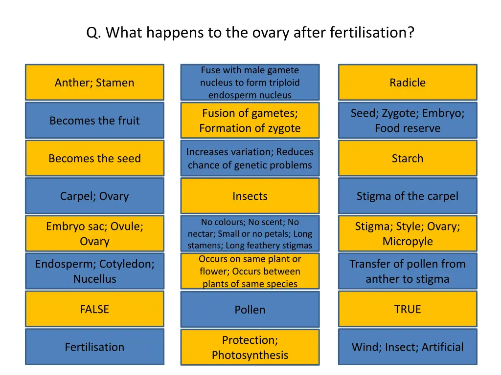 q what happens to the ovary after fertilisation