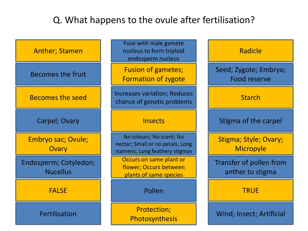 q what happens to the ovule after fertilisation