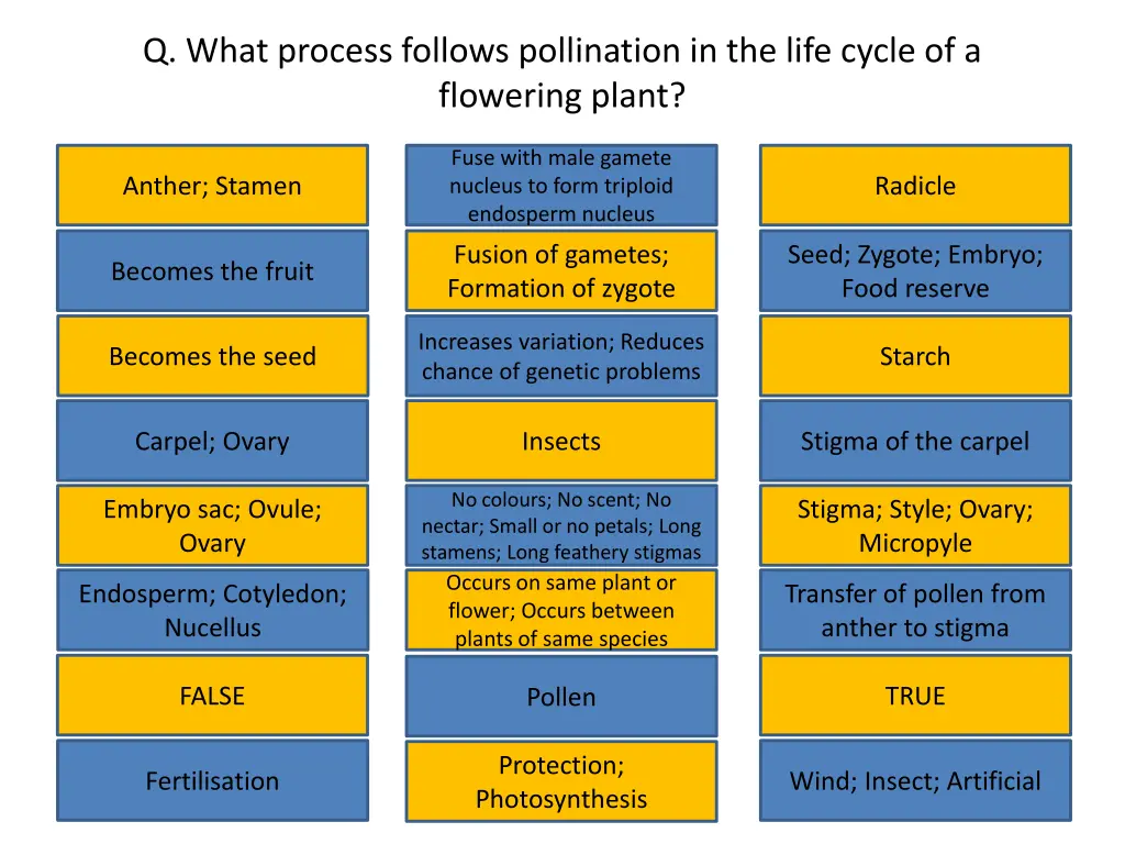 q what process follows pollination in the life