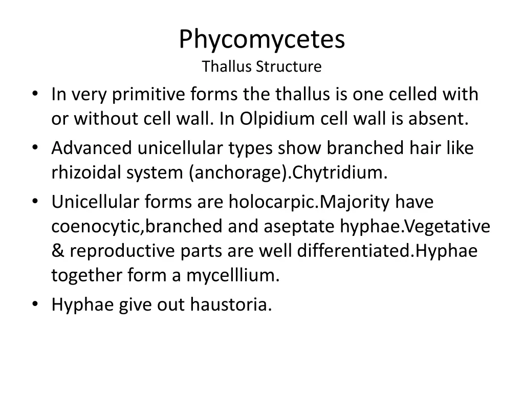 phycomycetes thallus structure